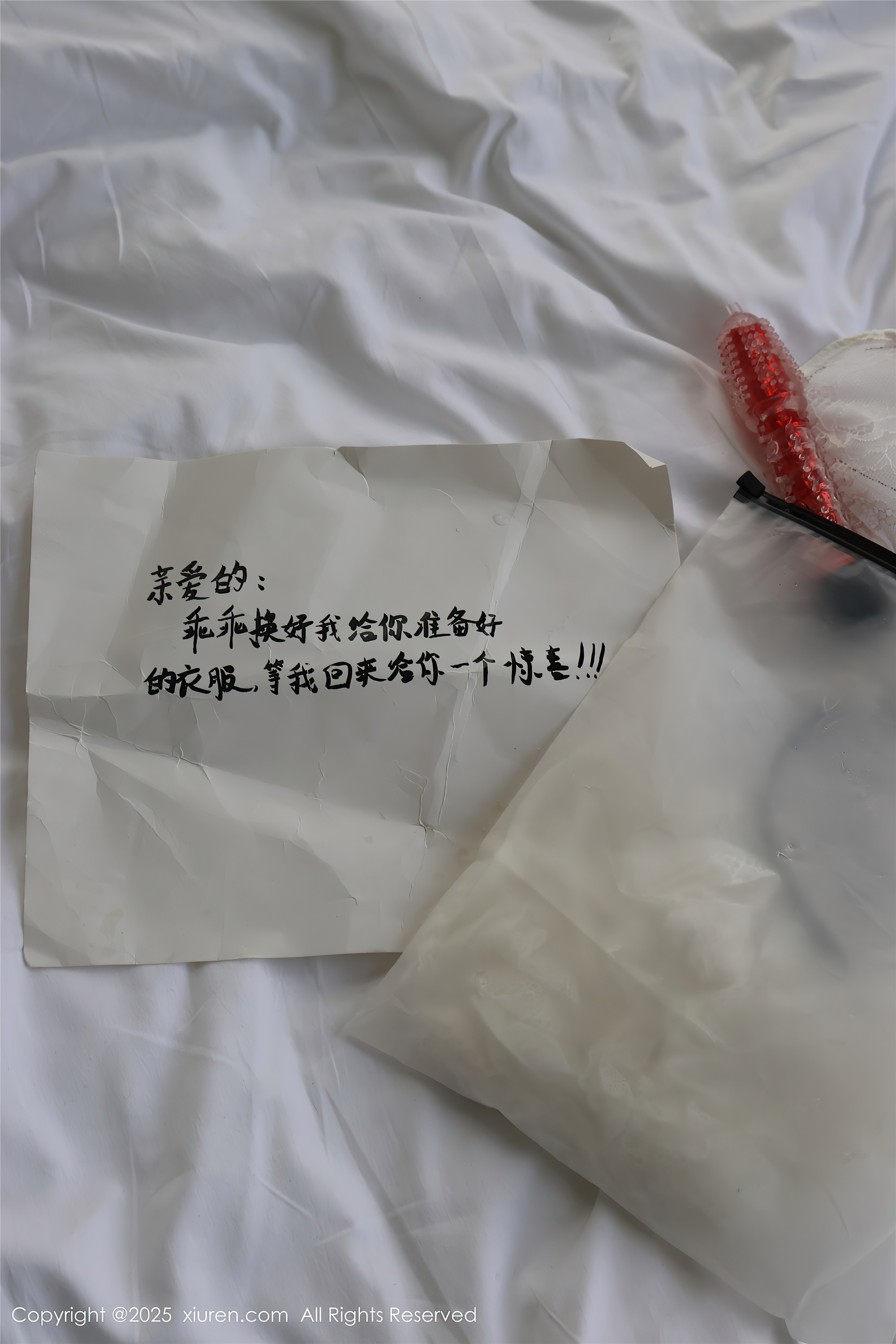 Xiuren秀人网 2025.01.03 NO.9708 小薯条nienie